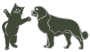 cat and dog for Small Animal Acupressure